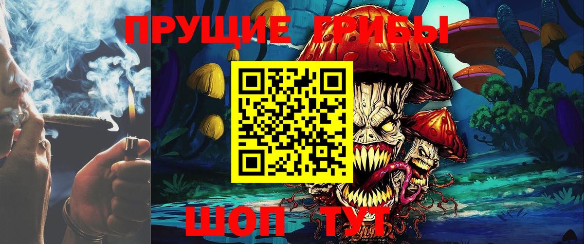 Искитим  Псилоцибиновые грибы мухоморы  Псилоцибиновые грибы Psilocybe  Вход с VPN 