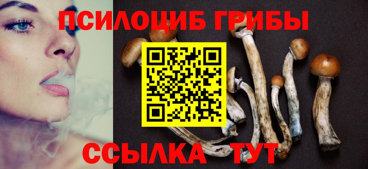 Псилоцибиновые грибы Magic Shrooms Искитим